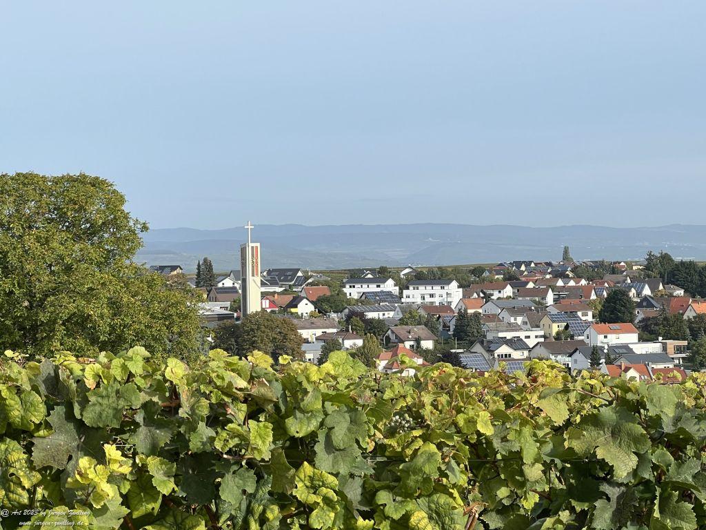 Oktober Weinberge 2023 - Hackenheim - Rheinhessen