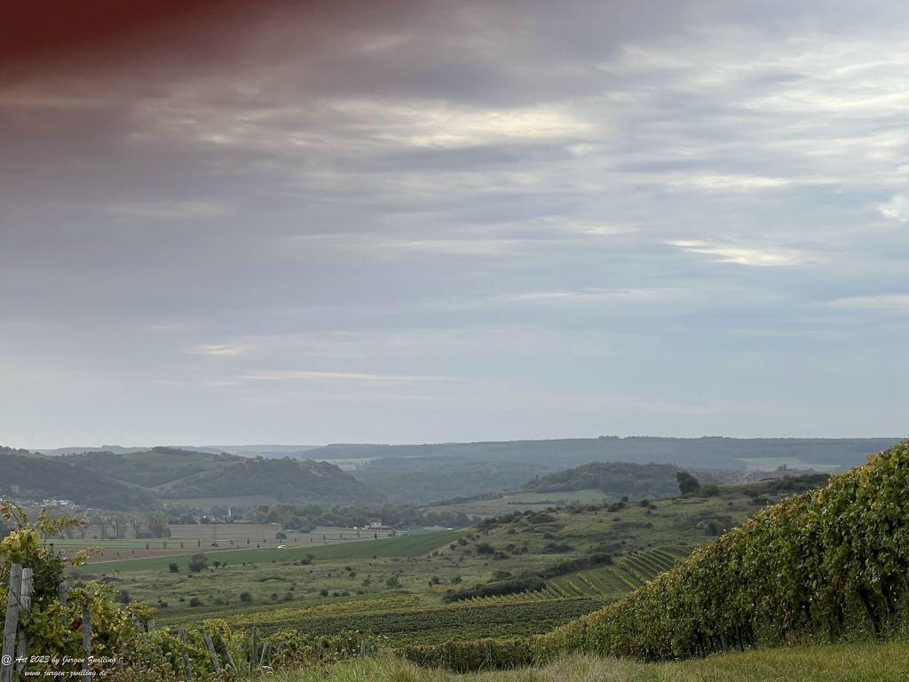 Oktober Weinberge 2023 - Hackenheim - Rheinhessen