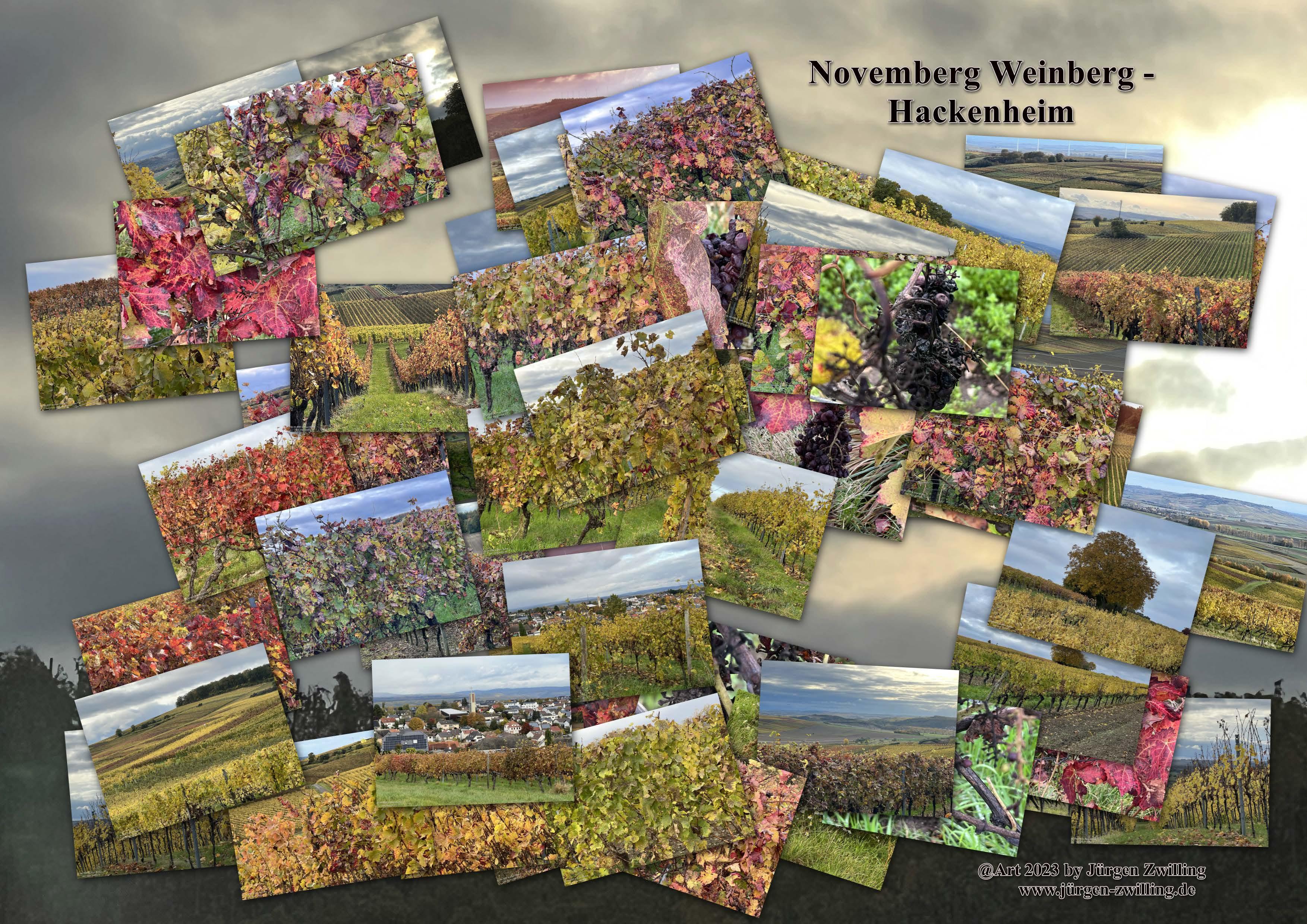 November Weinberg - Hackenheim - Rheinhessen