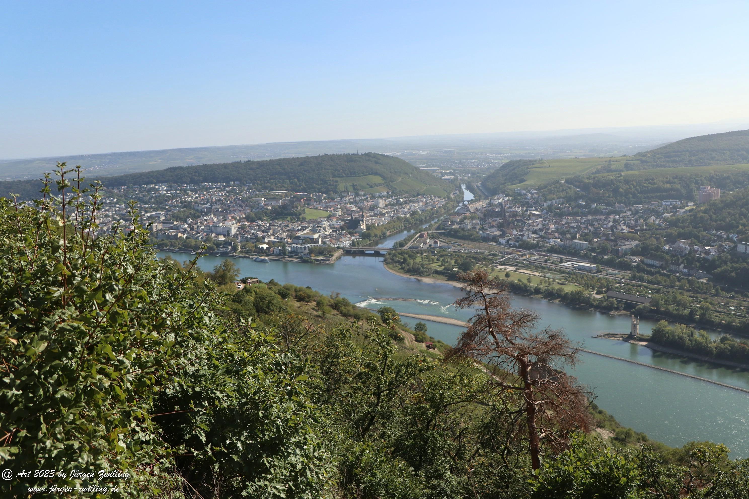  Große Rüdesheimer Runde am Rhein 11