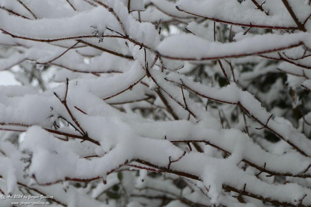Winter in Rüdesheim - Nahe -Rheinhessen