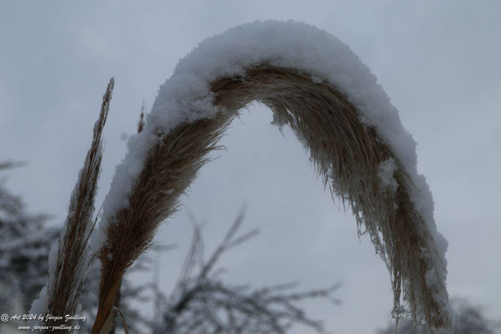Winter in Rüdesheim - Nahe -Rheinhessen