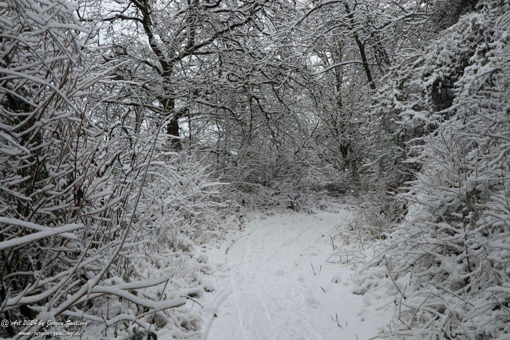 Winter in Rüdesheim - Nahe -Rheinhessen