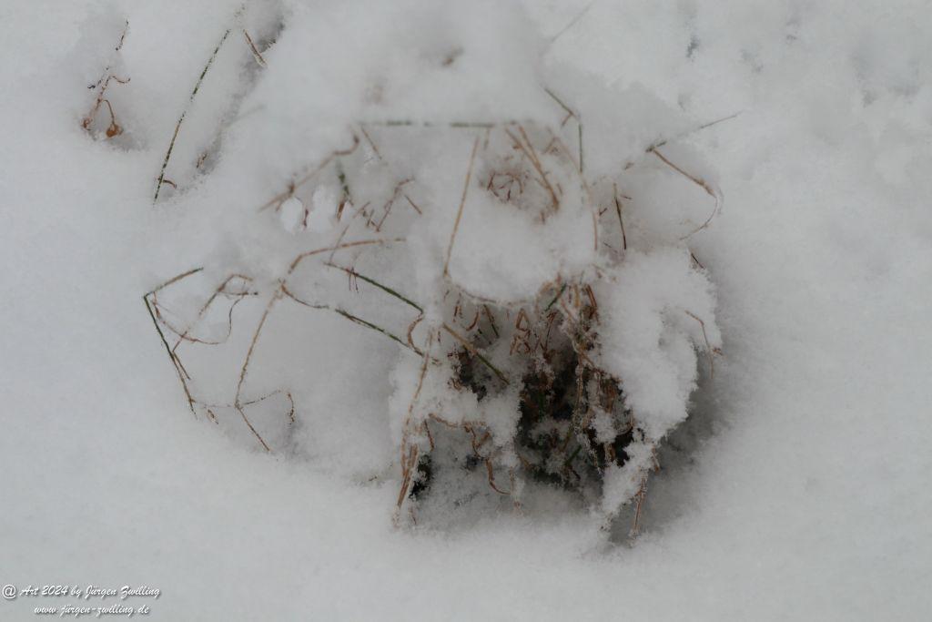 Winter in Rüdesheim - Nahe -Rheinhessen