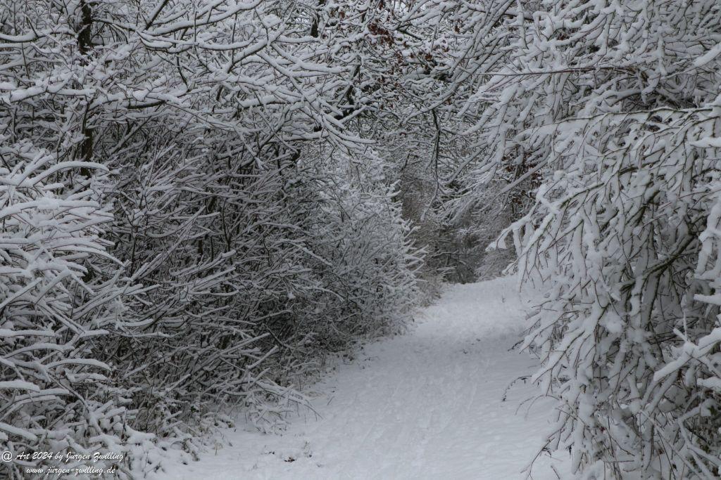 Winter in Rüdesheim - Nahe -Rheinhessen
