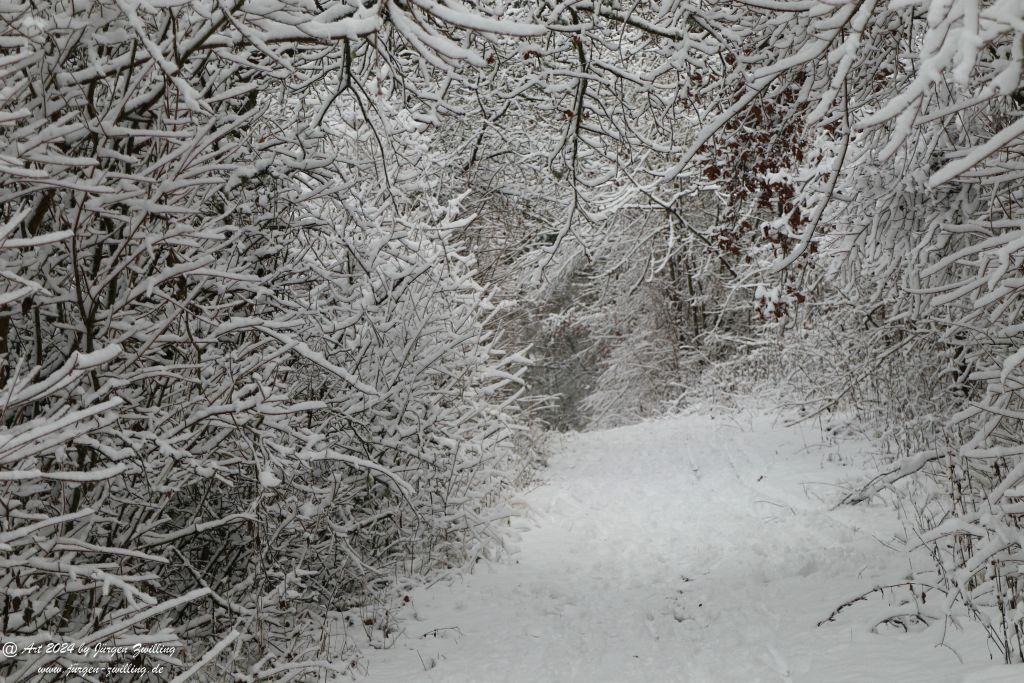 Winter in Rüdesheim - Nahe -Rheinhessen