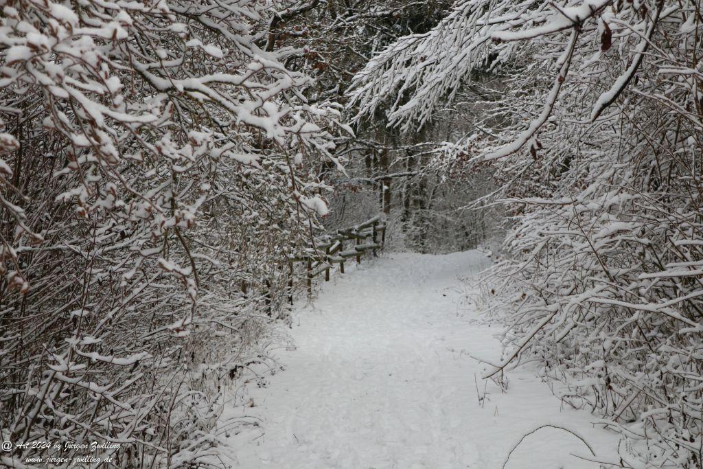 Winter in Rüdesheim - Nahe -Rheinhessen