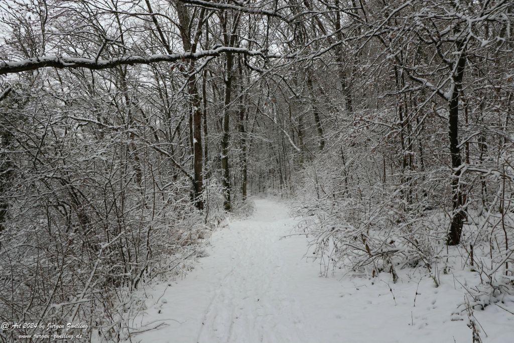 Winter in Rüdesheim - Nahe -Rheinhessen