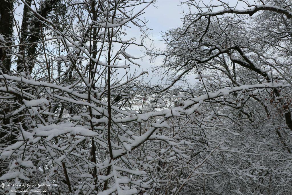 Winter in Rüdesheim - Nahe -Rheinhessen
