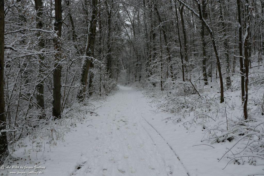 Winter in Rüdesheim - Nahe -Rheinhessen
