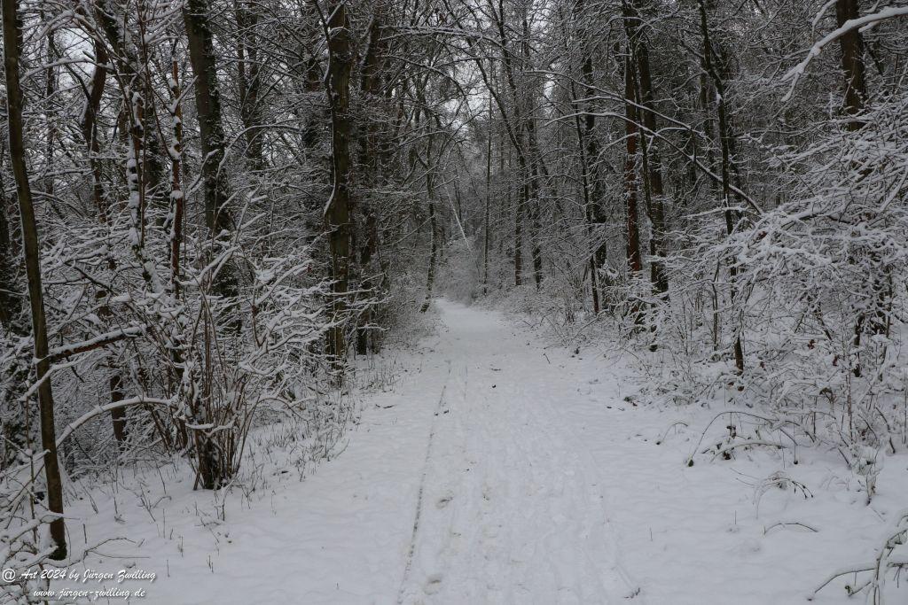 Winter in Rüdesheim - Nahe -Rheinhessen