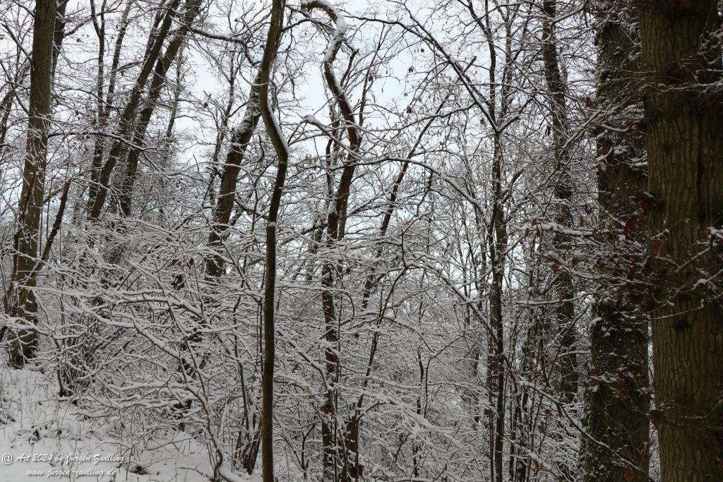 Winter in Rüdesheim - Nahe -Rheinhessen