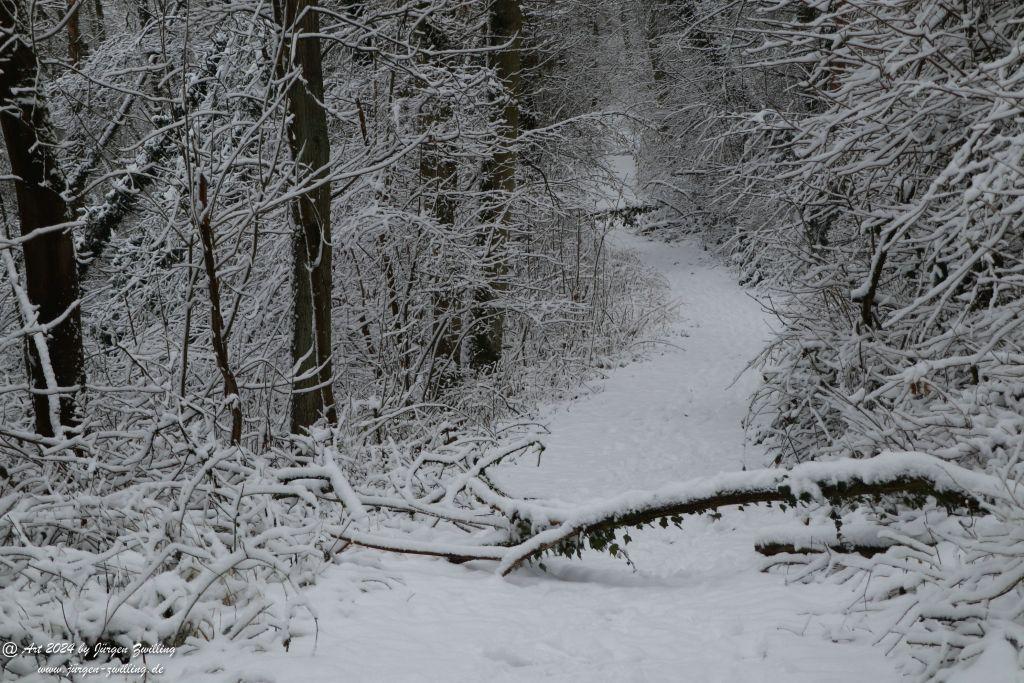 Winter in Rüdesheim - Nahe -Rheinhessen