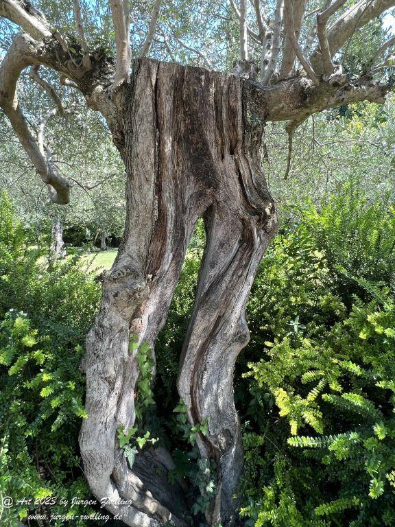 Sirmione - Gardasee - Italien