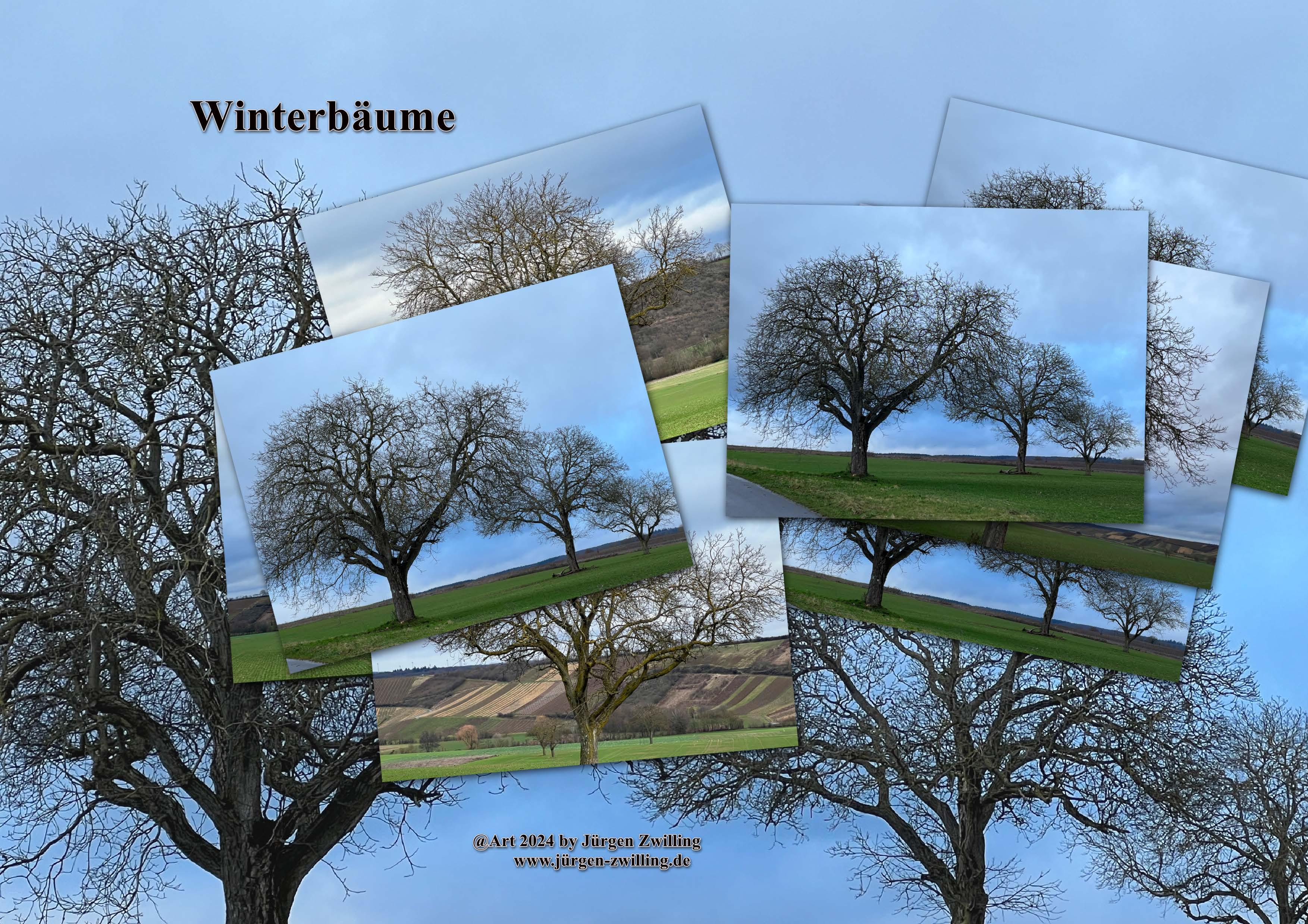 Winterbäume - Rüdesheim-Nahe - Rheinhessen