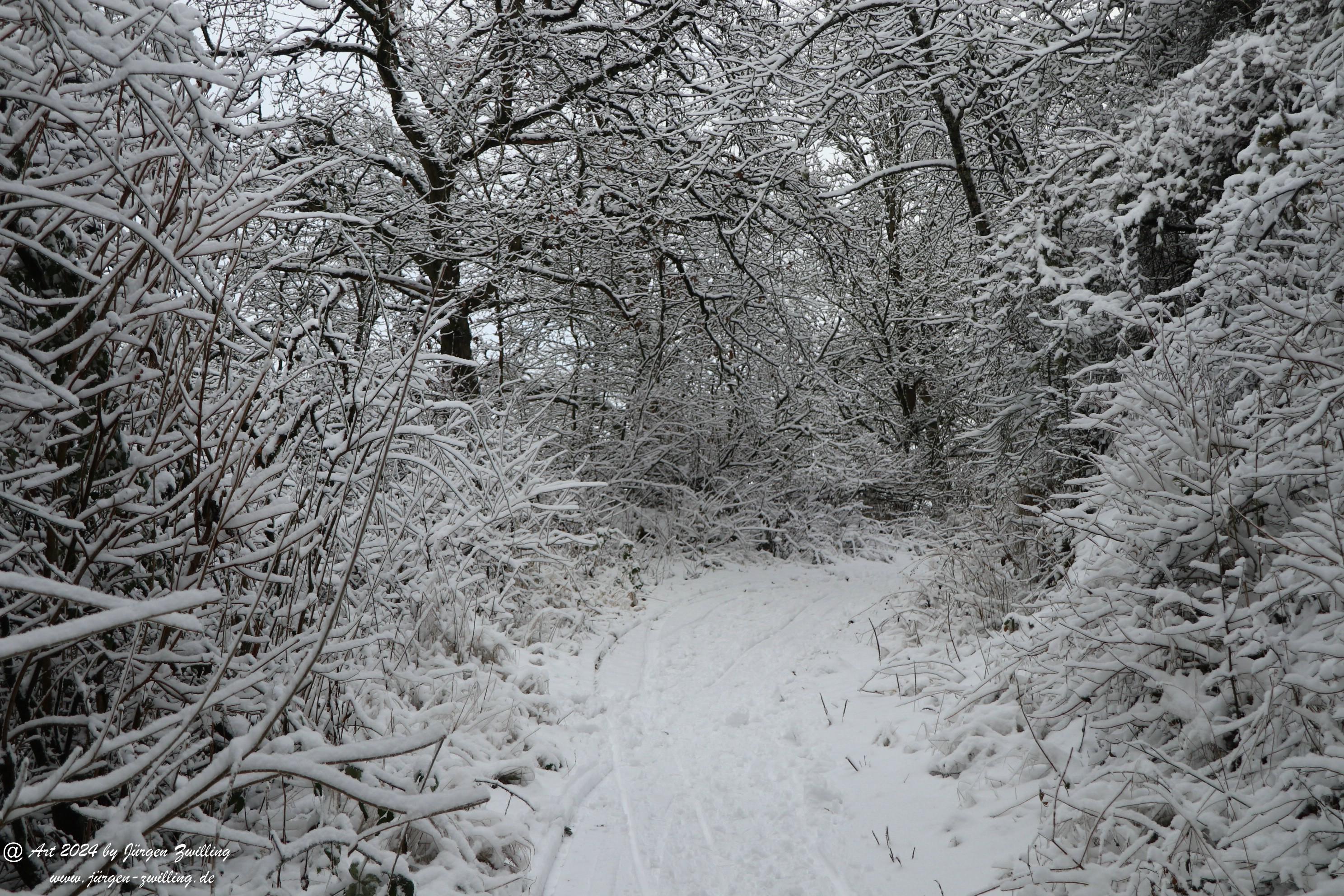 Winter in Rüdesheim - Nahe 16 