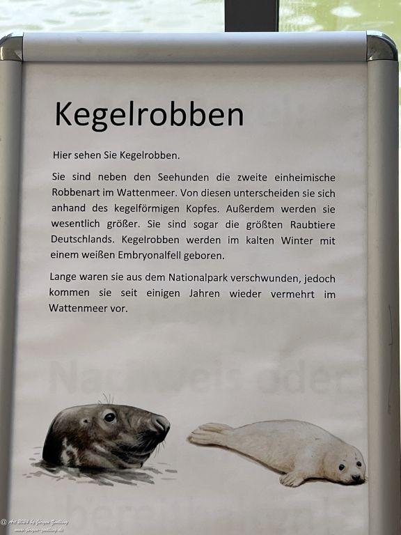 Seehundstation Norddeich