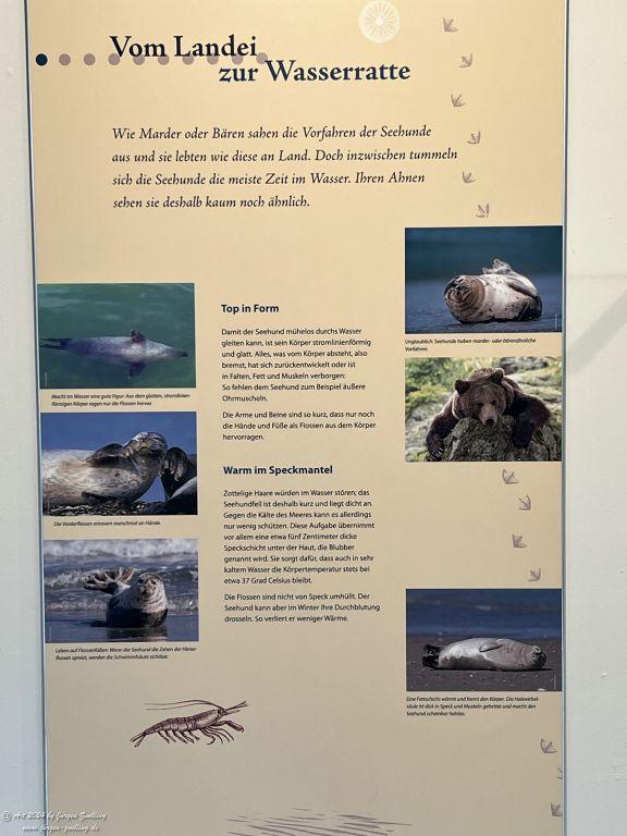 Seehundstation Norddeich