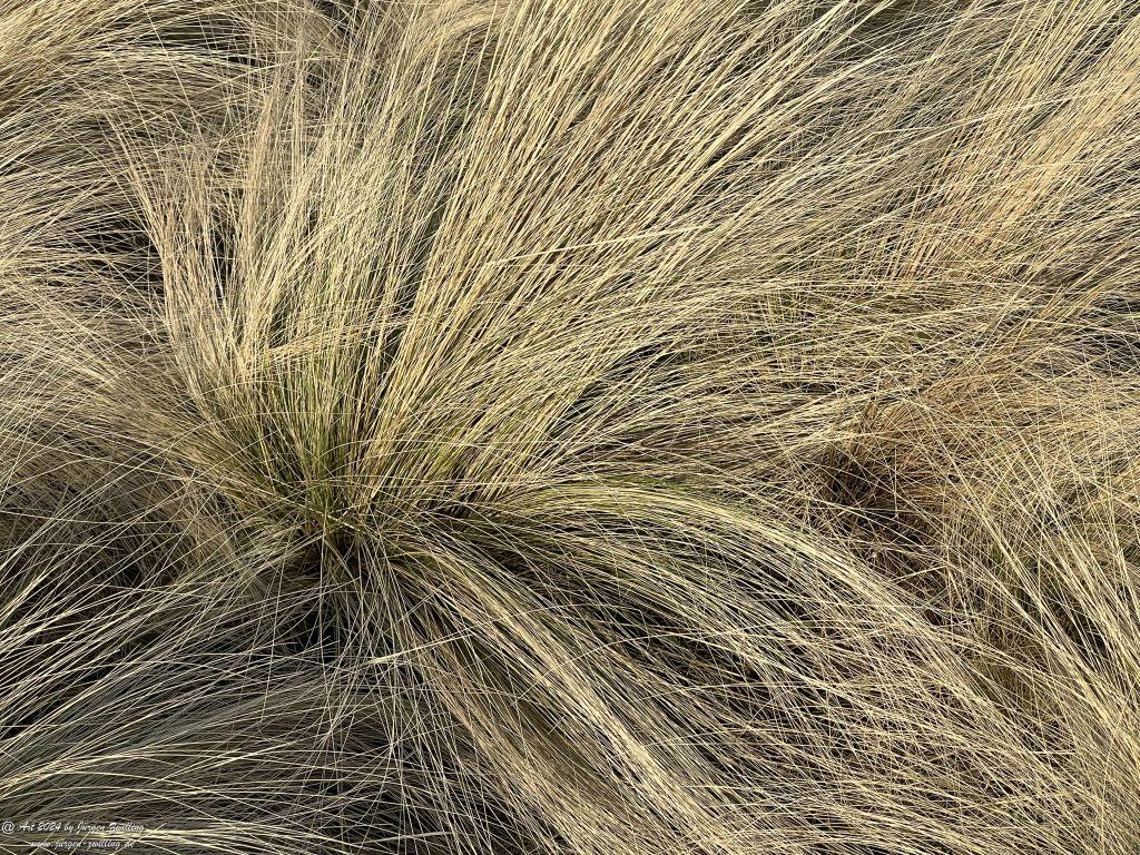 Carolinensiel - Harlesiel - Carolienensiel