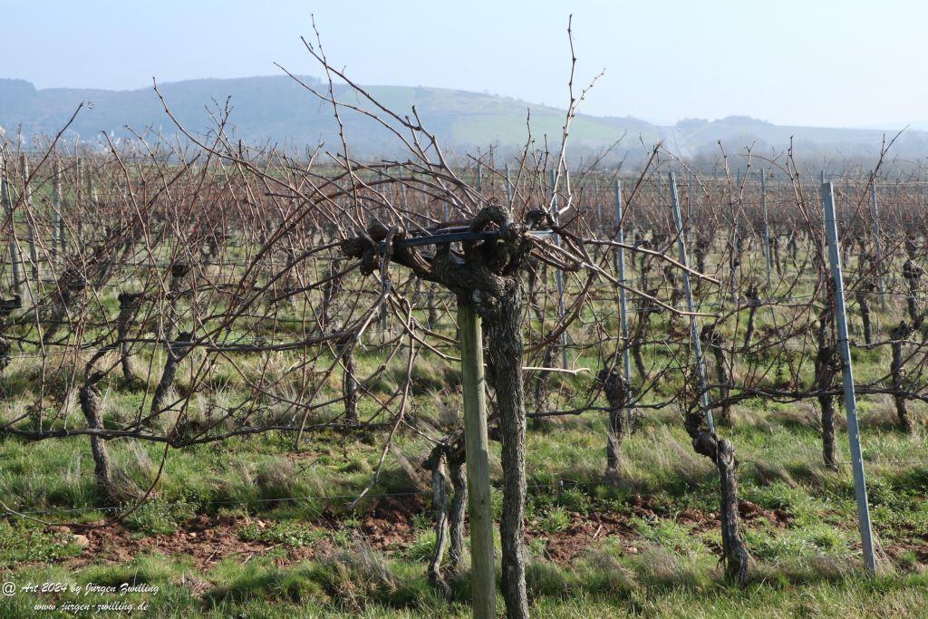 Philosophische Bildwanderung Rüdesheim an der Nahe - Mandel - Rüdesheim - Rheinhessen