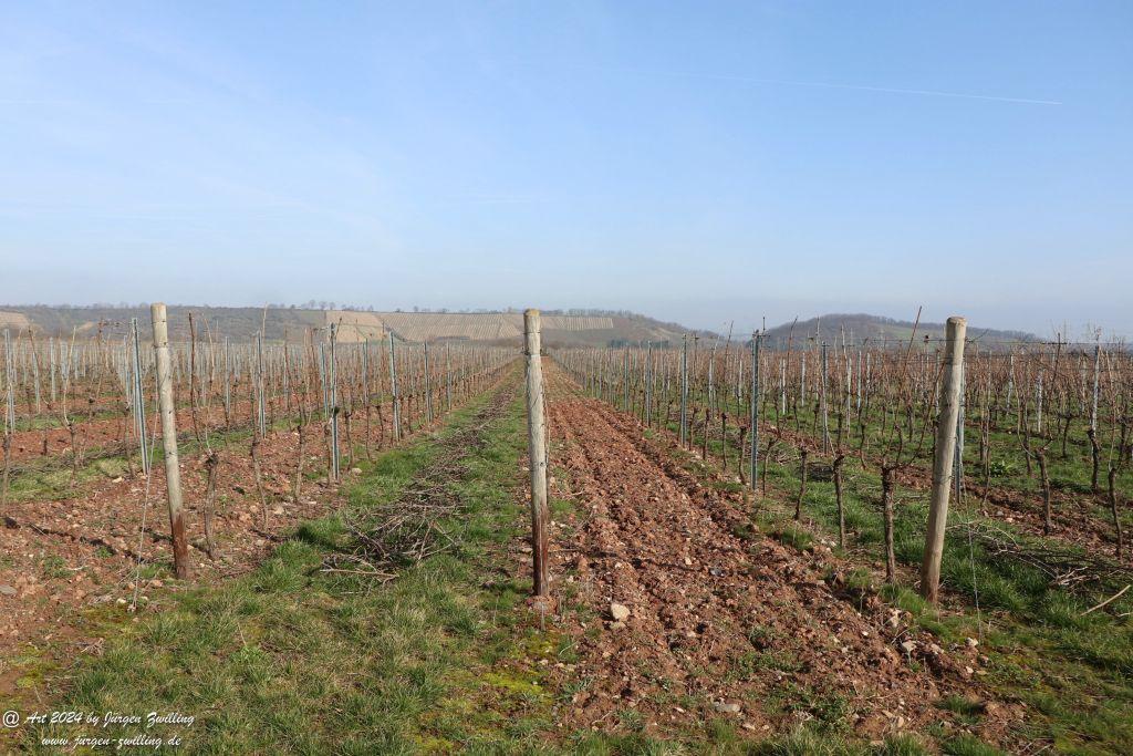 Philosophische Bildwanderung Rüdesheim an der Nahe - Mandel - Rüdesheim - Rheinhessen