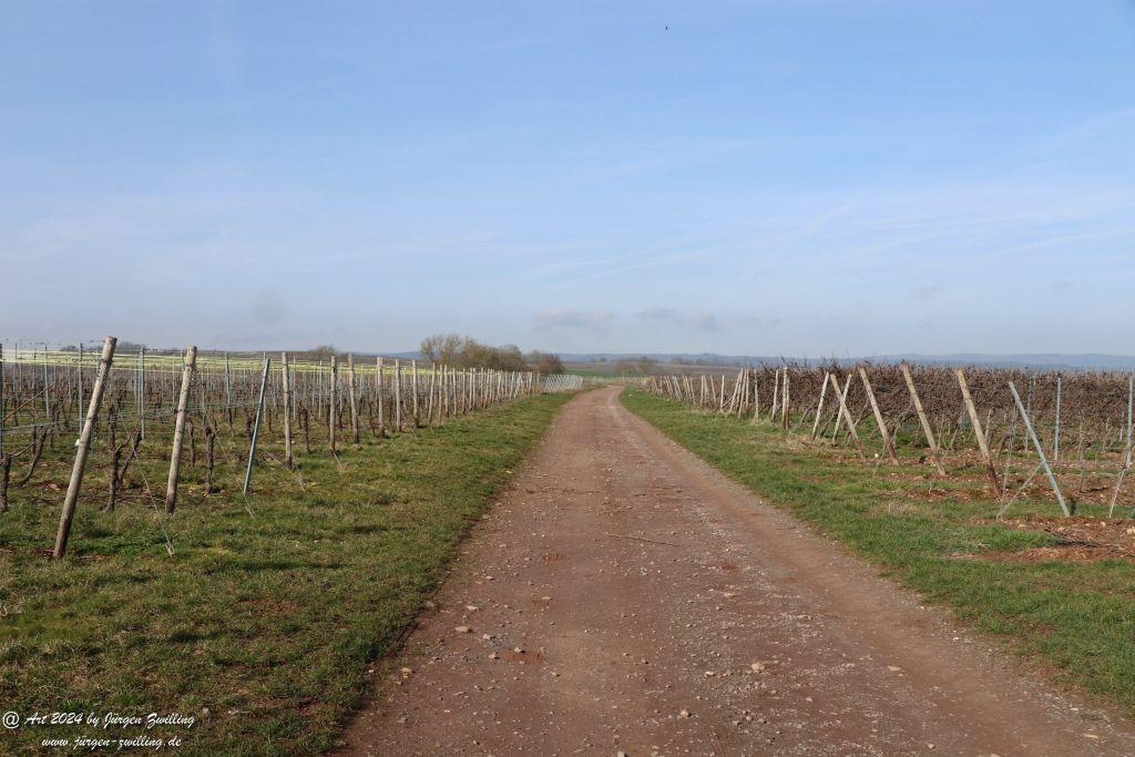 Philosophische Bildwanderung Rüdesheim an der Nahe - Mandel - Rüdesheim - Rheinhessen