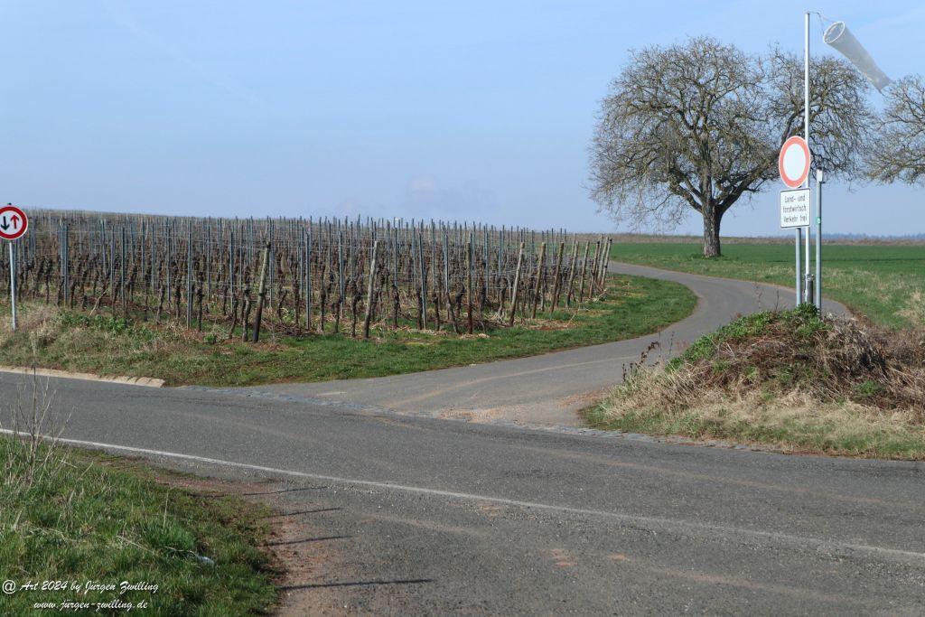 Philosophische Bildwanderung Rüdesheim an der Nahe - Mandel - Rüdesheim - Rheinhessen