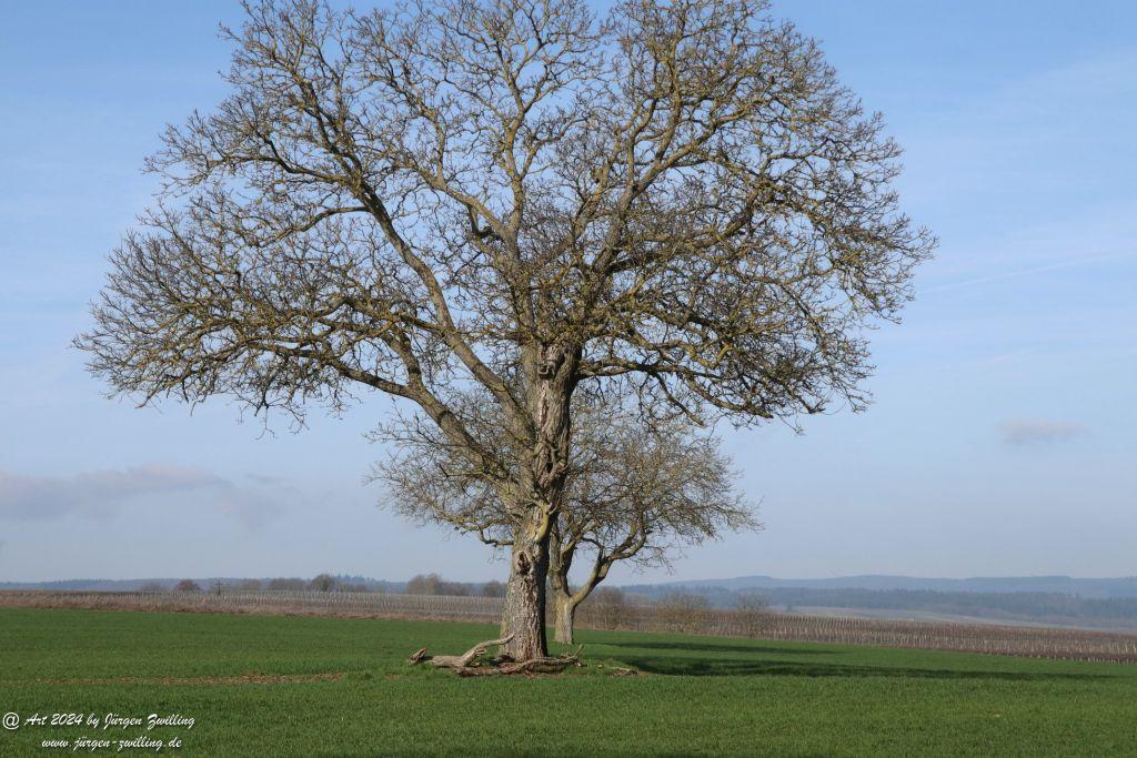 Philosophische Bildwanderung Rüdesheim an der Nahe - Mandel - Rüdesheim - Rheinhessen