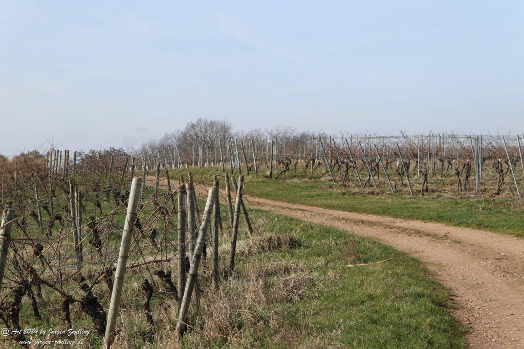 Philosophische Bildwanderung Rüdesheim an der Nahe - Mandel - Rüdesheim - Rheinhessen