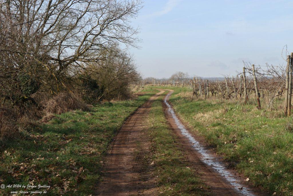 Philosophische Bildwanderung Rüdesheim an der Nahe - Mandel - Rüdesheim - Rheinhessen