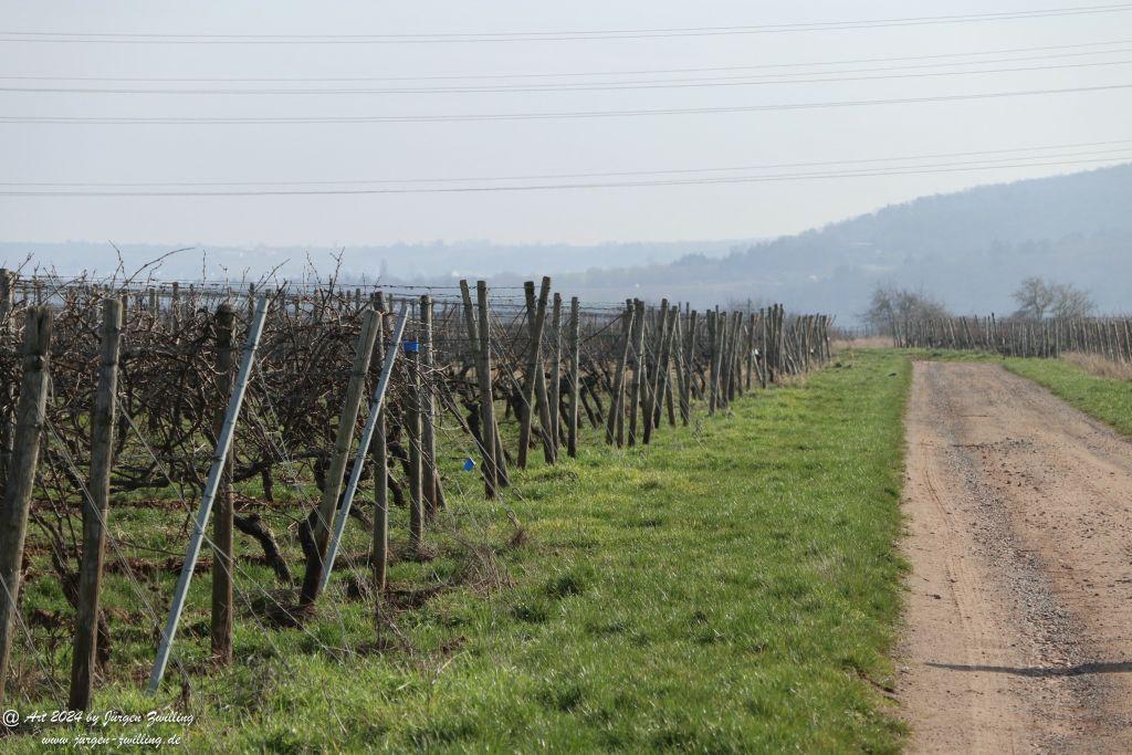 Philosophische Bildwanderung Rüdesheim an der Nahe - Mandel - Rüdesheim - Rheinhessen