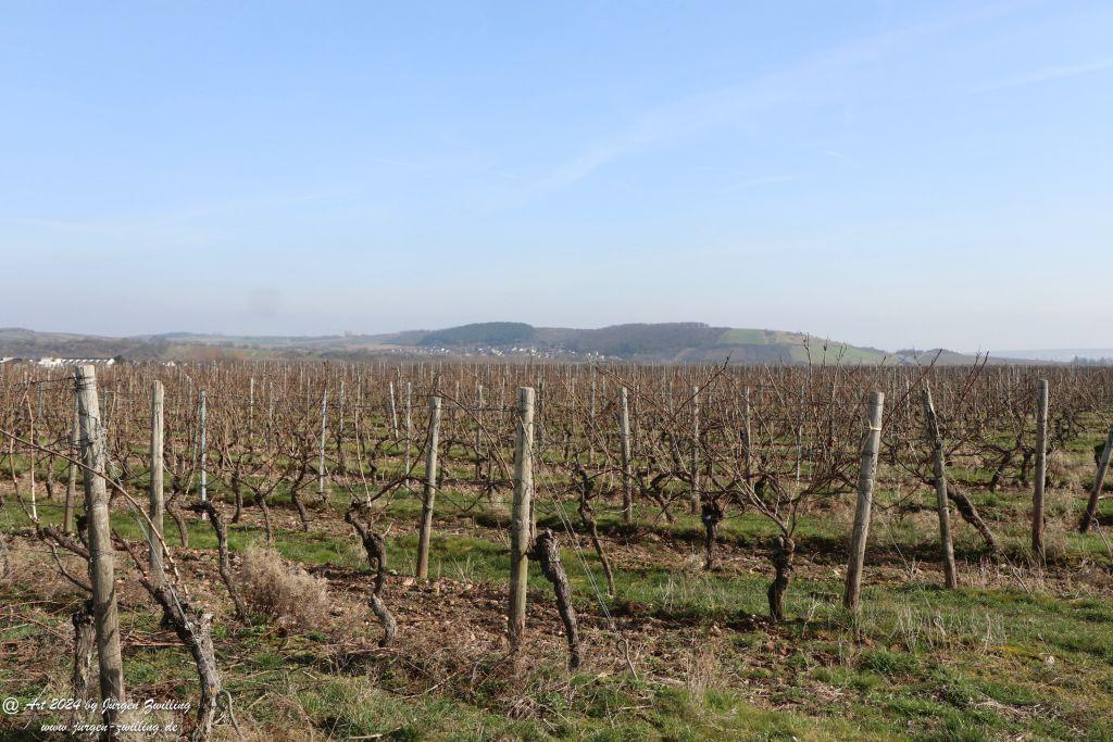 Philosophische Bildwanderung Rüdesheim an der Nahe - Mandel - Rüdesheim - Rheinhessen