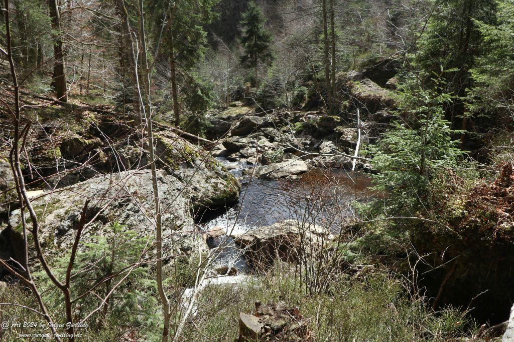 Philosophische Bildwanderung Steinklamm - Spiegelau - Bayerischer Wald