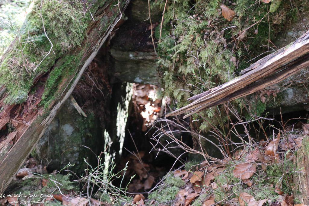 Philosophische Bildwanderung Steinklamm - Spiegelau - Bayerischer Wald