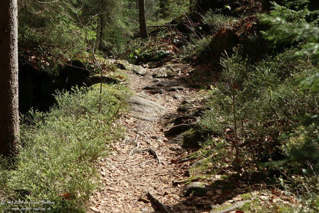 Philosophische Bildwanderung Steinklamm - Spiegelau - Bayerischer Wald