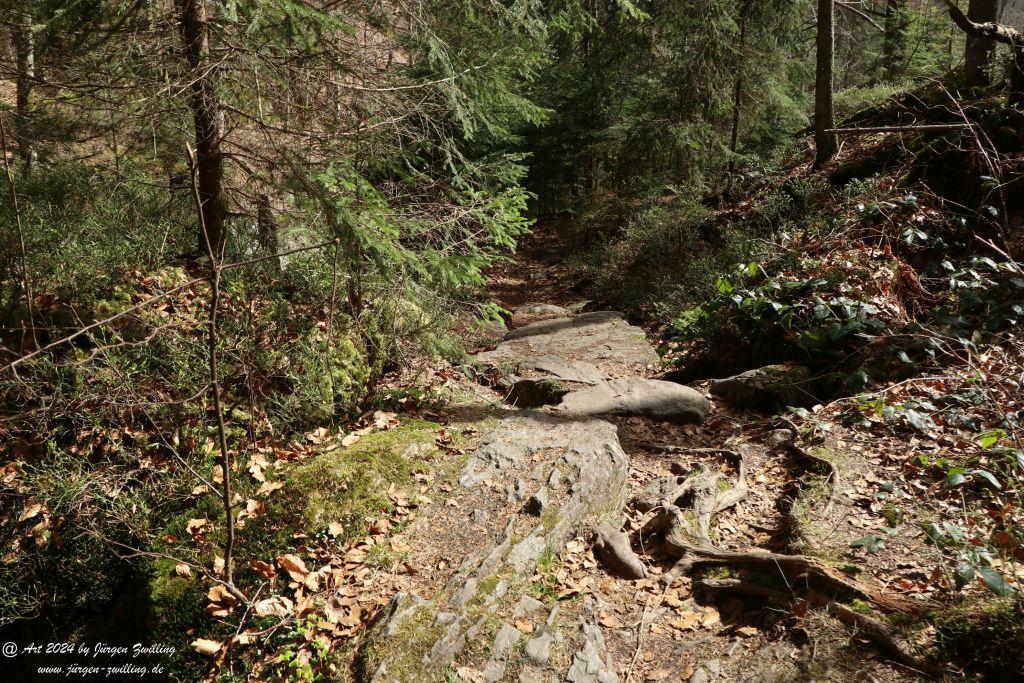 Philosophische Bildwanderung Steinklamm - Spiegelau - Bayerischer Wald