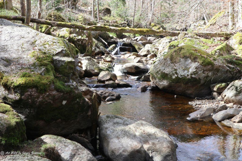 Philosophische Bildwanderung Steinklamm - Spiegelau - Bayerischer Wald