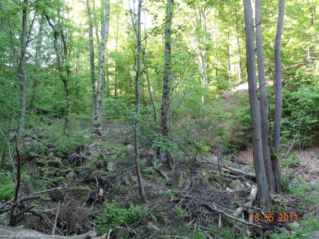 Philosophische Bildwanderung Nibelungentour