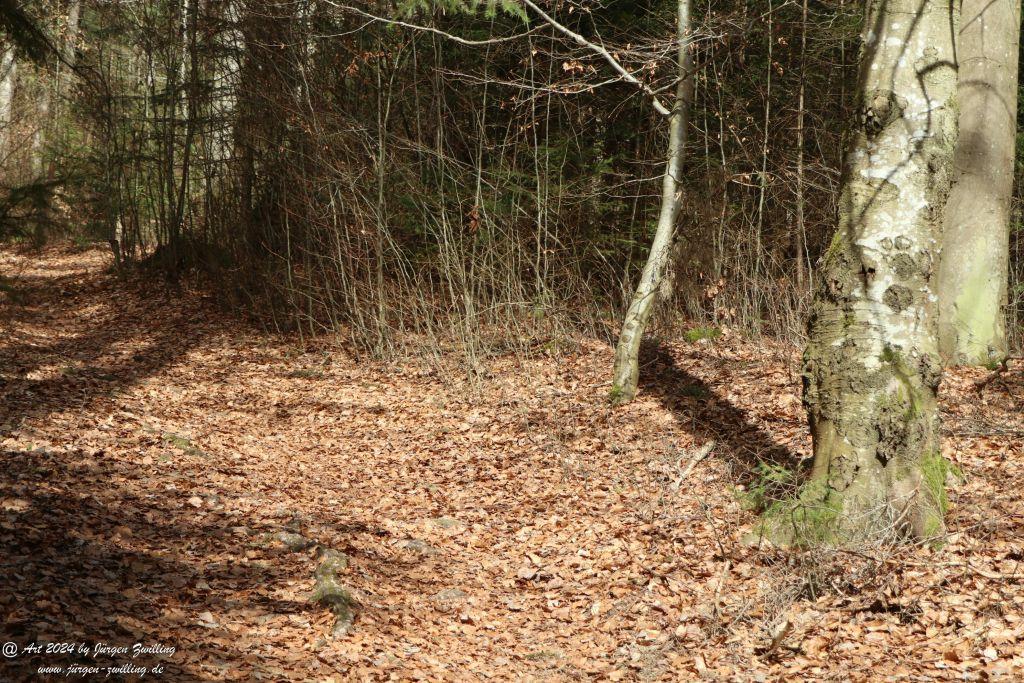 Philosophische Bildwanderung Steinklamm - Spiegelau - Bayerischer Wald