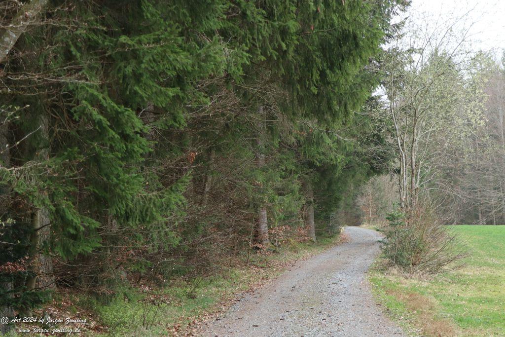 Philosophische Bildwanderung Rundweg Feldhase -Spiegelau - Bayerischer Wald