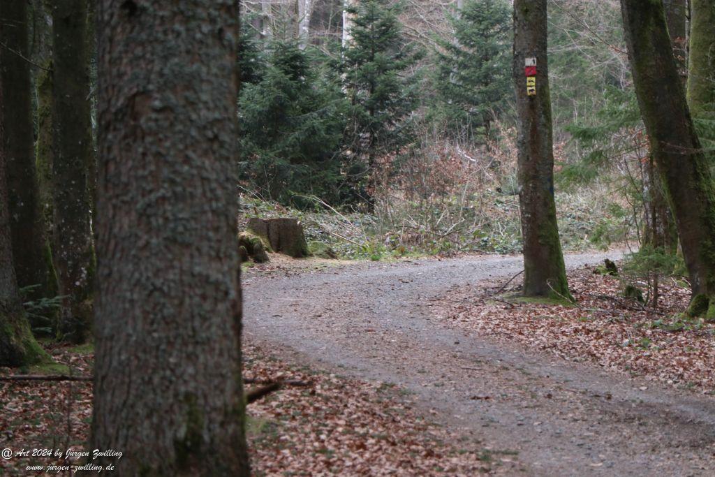 Philosophische Bildwanderung Rundweg Feldhase -Spiegelau - Bayerischer Wald