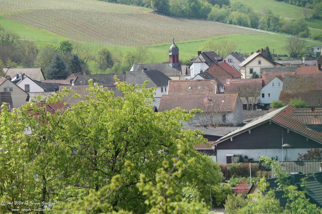 Philosophische Bildwanderung Sankt Kathariner Weinwanderung - Rheinhessen
