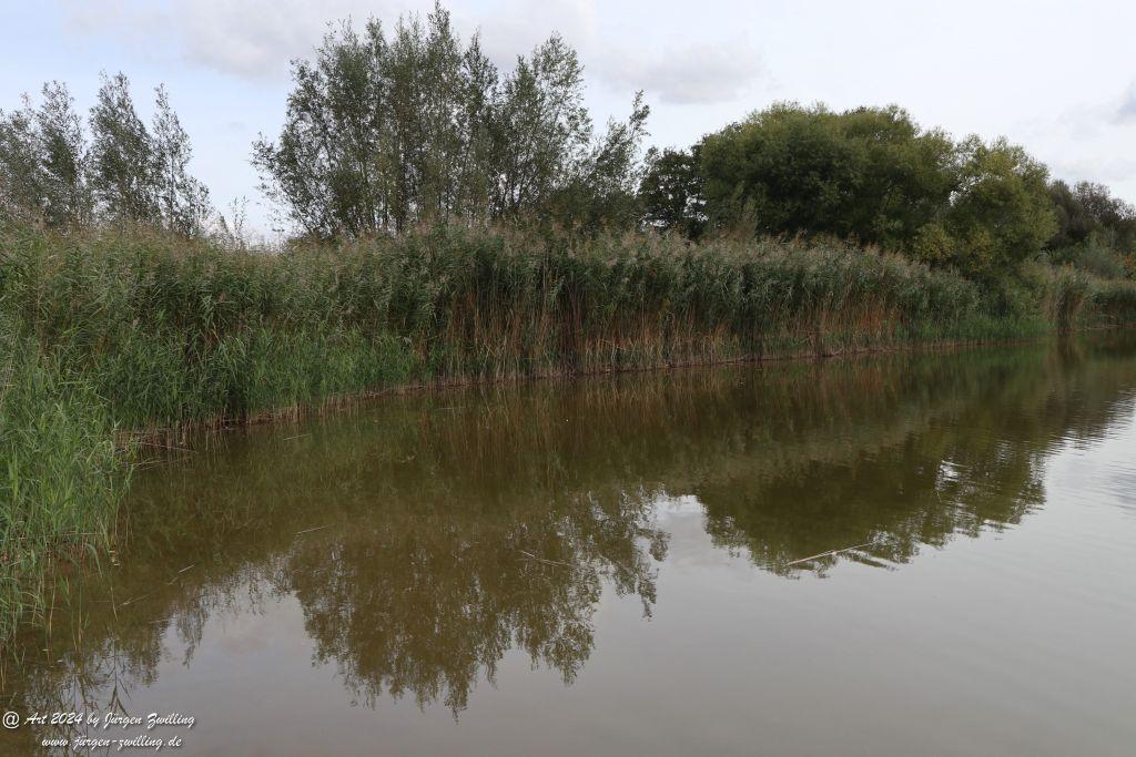 Mühlbachaue - Saulheim - Rheinhessen