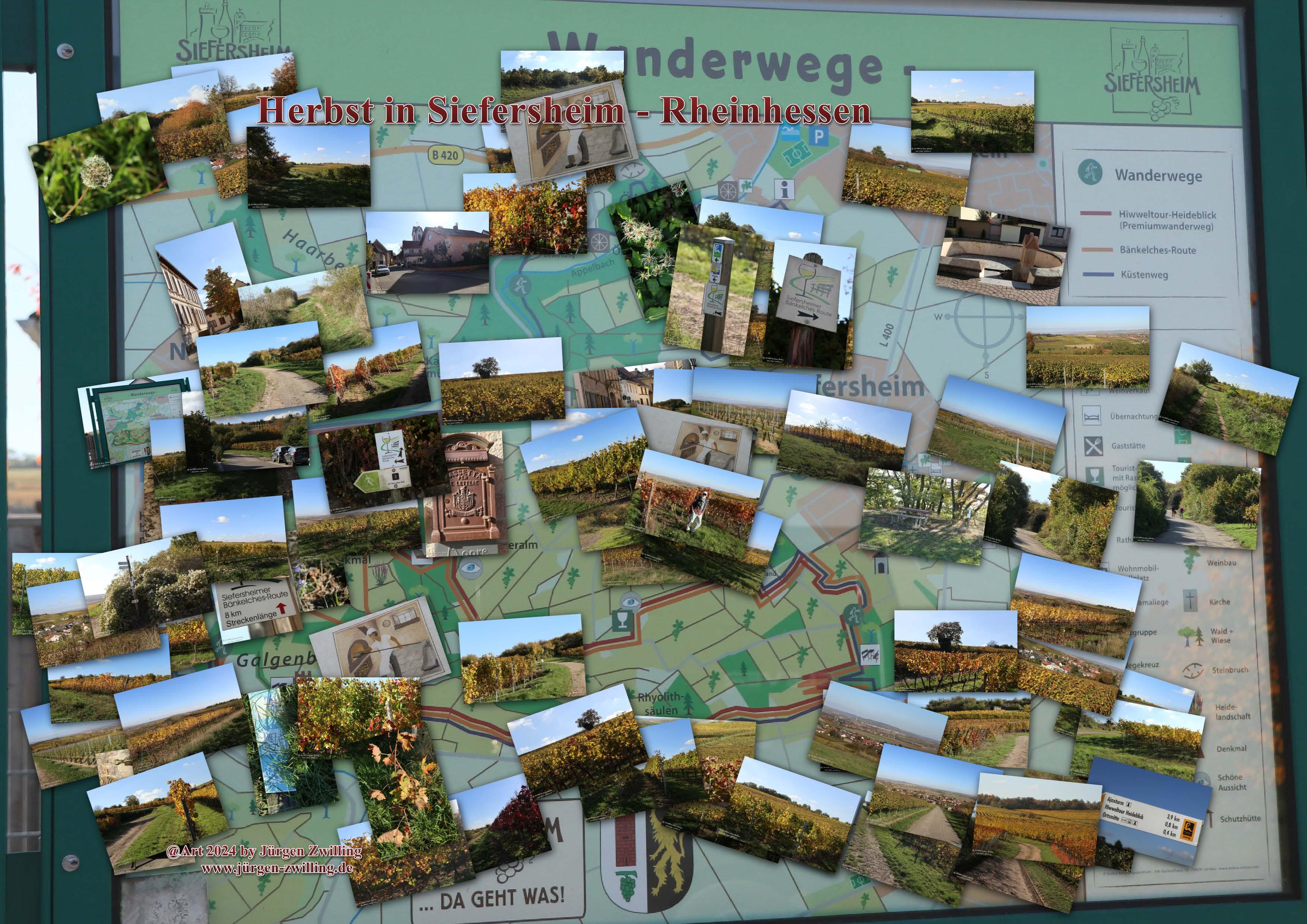  Herbst in Siefersheim - Rheinhessen