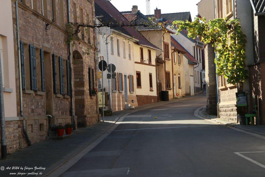 Herbst in Siefersheim - Rheinhessen