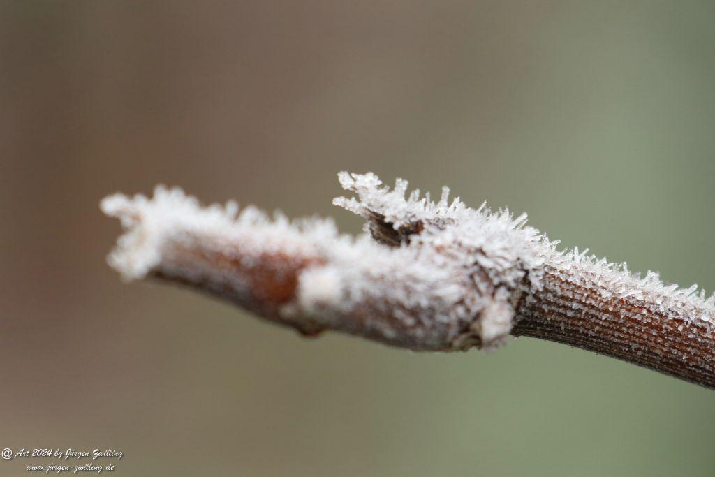 Eisige Winter Nebel - Rüdesheim an der Nahe - Rheinhessen