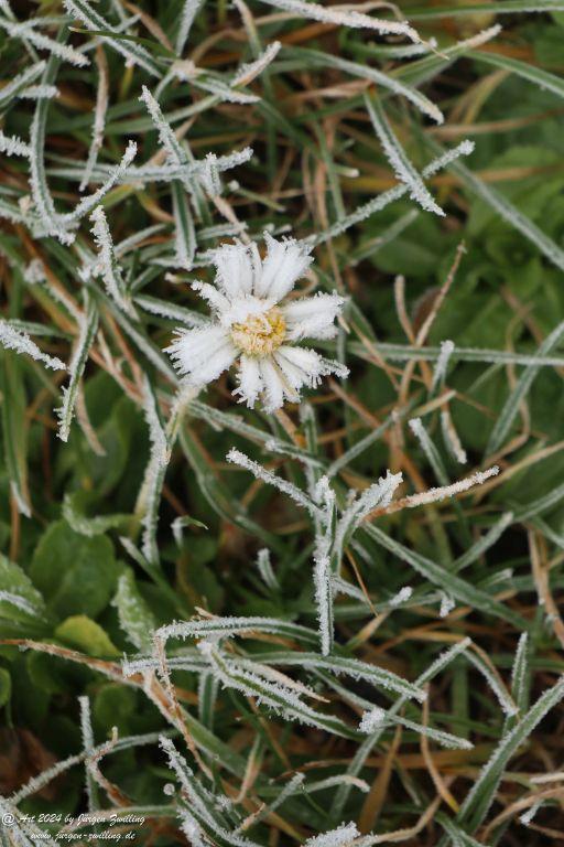 Eisige Winter Nebel - Rüdesheim an der Nahe - Rheinhessen