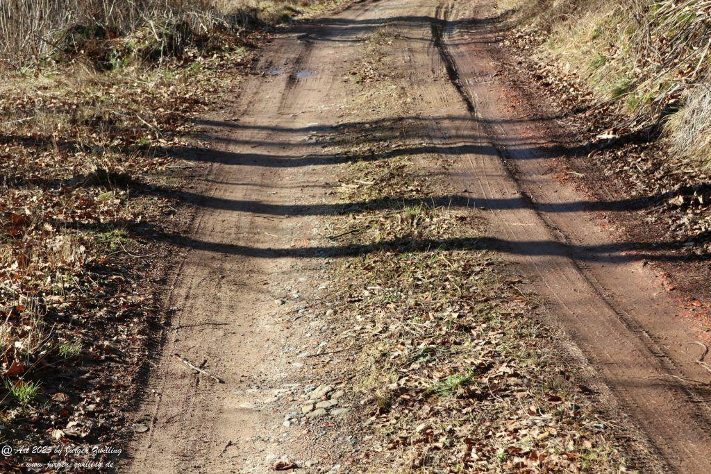 Philosophische Bildwanderung  Bärchenweg 1 - Arrach - Bayerischer Wald