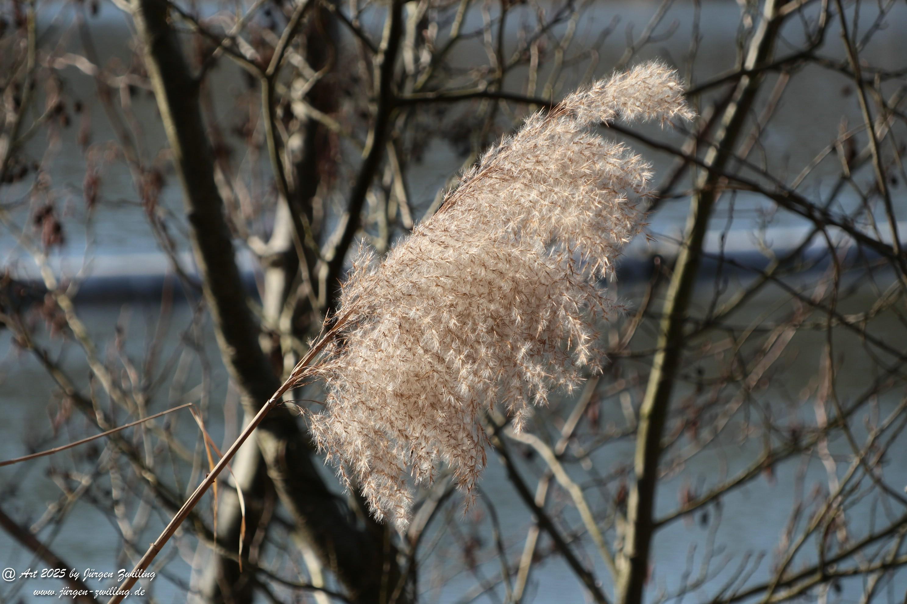 Niederhausen Stausee Nahe 12 