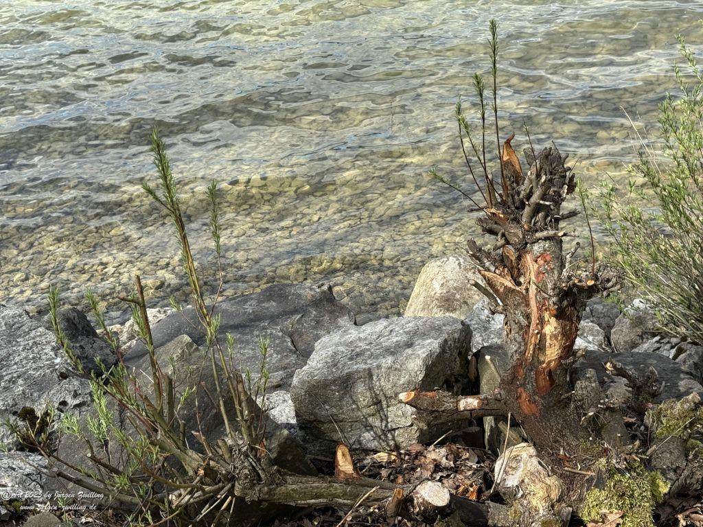 Alpsee - Allgäu